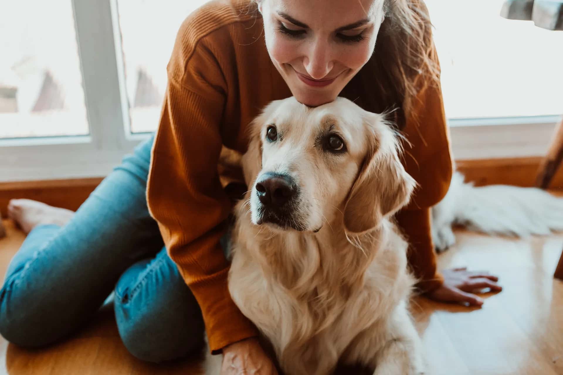 Owner comforting their pet during a home visit in South Wales